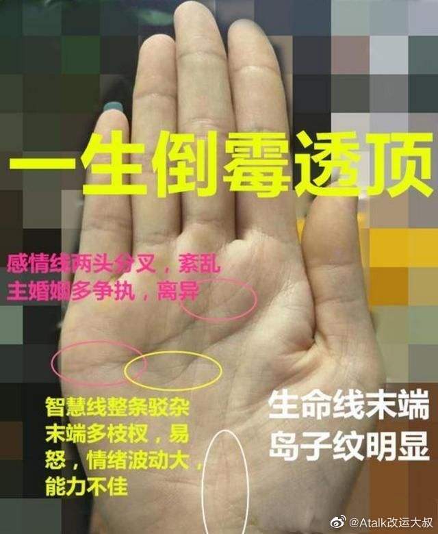 关于感情线和智慧线