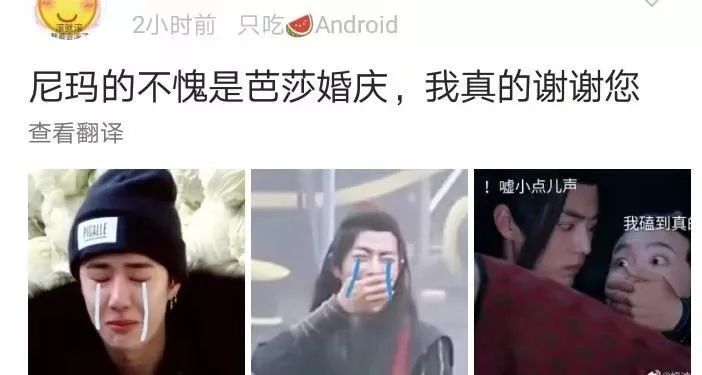 cp粉眼中的月老庙再度上线，芭莎婚介所果然名不虚传！