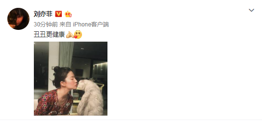 刘亦菲晒与爱宠亲吻照 自侃“丑丑更健康”