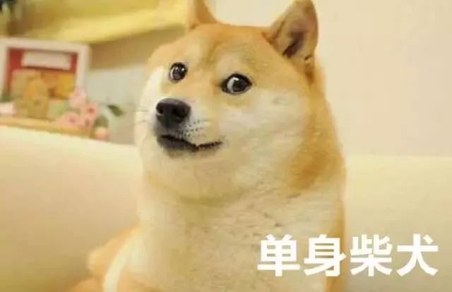 曾经公费谈恋爱的明星夫妻，现在连恩爱都懒得装了？