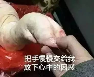 黄晓明薛之谦吴亦凡…明星为了赚钱，真是什么都干得出来！