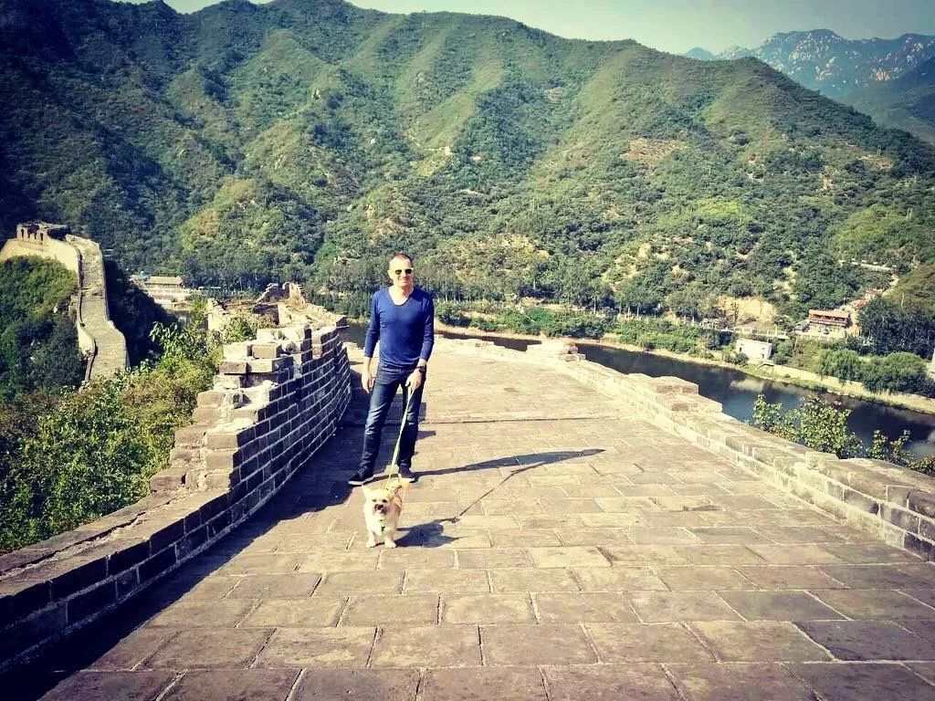 一只中国流浪狗的逆袭：征服好莱坞，圈粉英国女王，环游全世界