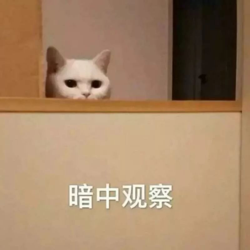 疑似被包养，长年被骂艳星…这群明星已经混到要直播卖货了？