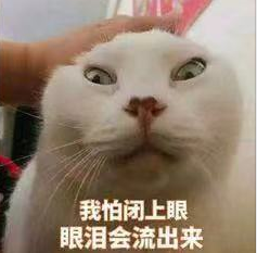 那个一手毁掉娱乐圈的男人，一看见他就头皮疼…
