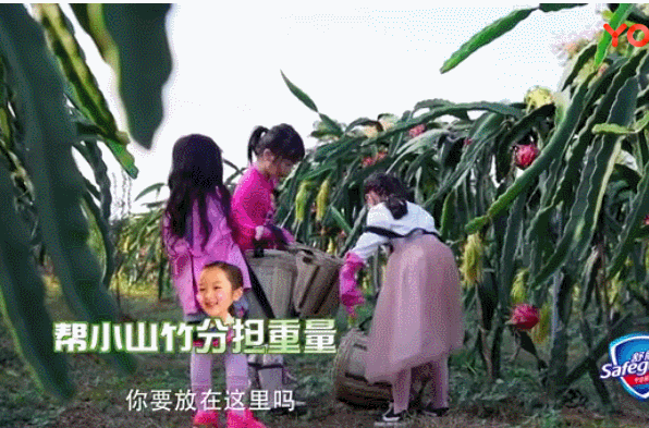 9岁撞脸钟丽缇，连成绩单都开挂，美貌又有才华的星二代是怎么养大的？