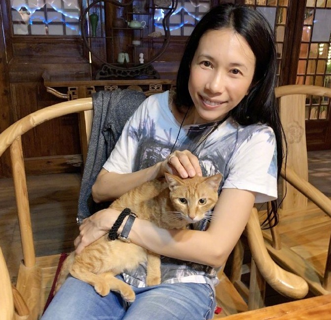 莫文蔚晒与小猫咪合照：莫猫队长被萌爆的眼神瞬间圈粉