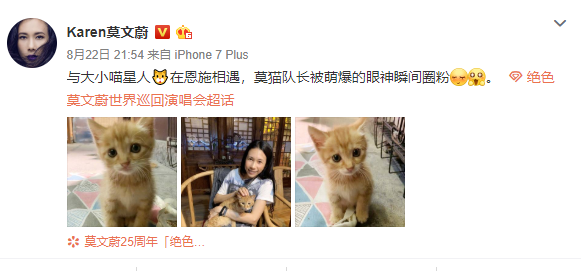 莫文蔚晒与小猫咪合照：莫猫队长被萌爆的眼神瞬间圈粉