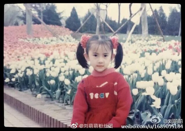 [美少女挖掘机]网球腿、猫咪嗓、爱情公寓里颜值最高的她竟然换了六次脸？