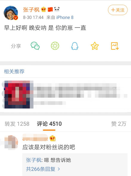 粉丝离世张子枫发文悼念：是你的崽，一直