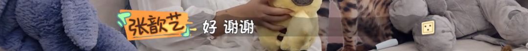 做饭带孩子主动解决婆媳矛盾，这样的24孝好老公她还说只是“标配”？