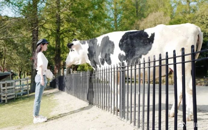 [美少女挖掘机]网球腿、猫咪嗓、爱情公寓里颜值最高的她竟然换了六次脸？