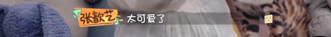 做饭带孩子主动解决婆媳矛盾，这样的24孝好老公她还说只是“标配”？
