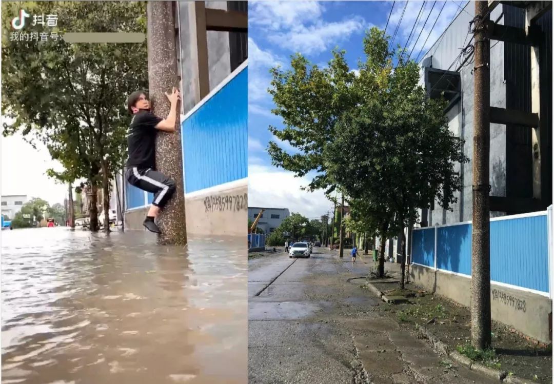 「我一点也不抓马」贵圈“戏精”列传：读书造假的张馨予，砸电视的苏醒，台风天摆拍的薛之谦...