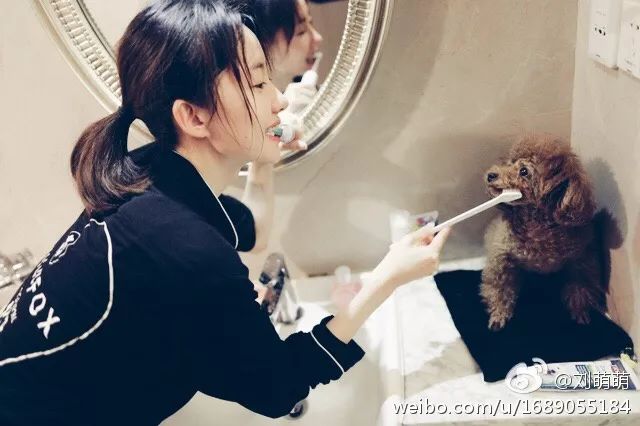 [美少女挖掘机]网球腿、猫咪嗓、爱情公寓里颜值最高的她竟然换了六次脸？