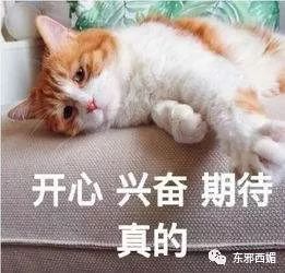 他是史上最成功的“软饭男”，数学零分的高考学渣如何逆袭？你想不到！
