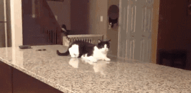 【半佛仙人】猜猜盲盒里面有什么！没错！是韭菜！