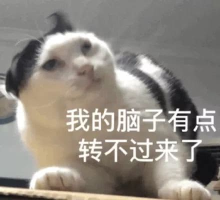 【半佛仙人】猜猜盲盒里面有什么！没错！是韭菜！