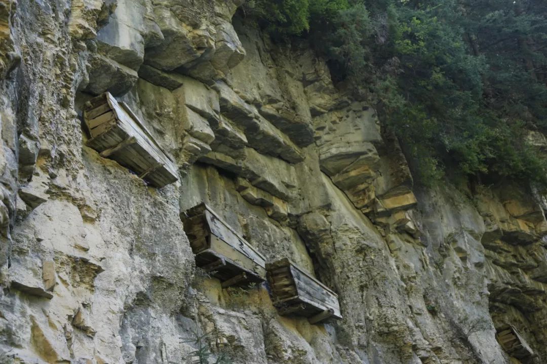 还有浓缩版武夷山悬棺!