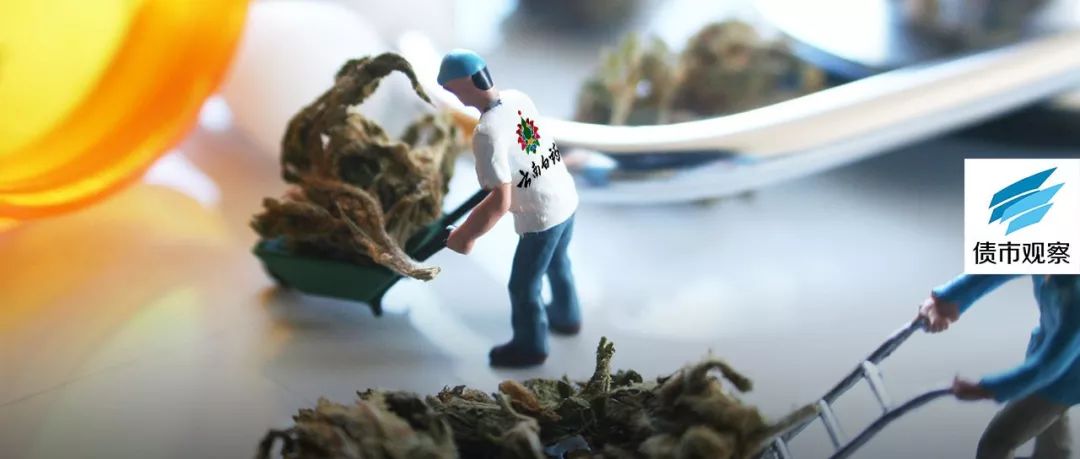 豪赌大麻！“百年神药”云南白药认购7亿可转债 业绩不佳奇招迭出（最新发布）