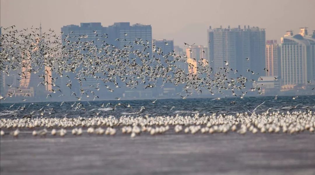 一个冷知识:河北其实是个沿海省份(最新发布)