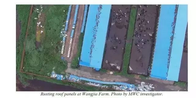 “辽宁首富”彻底崩塌!300亿市值蒸发,公司被强制退市!(最新发布)