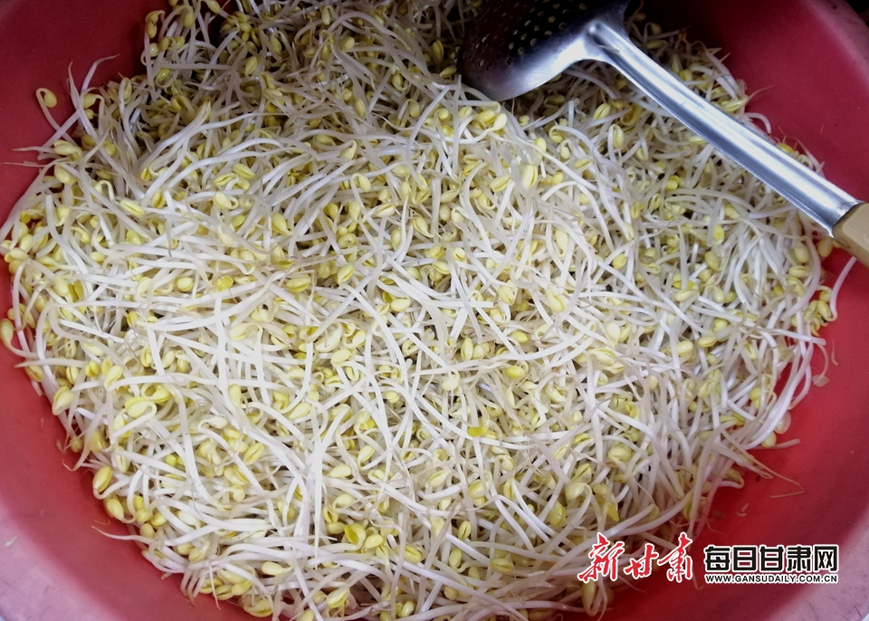 豆芽(资料图 金奉乾 摄