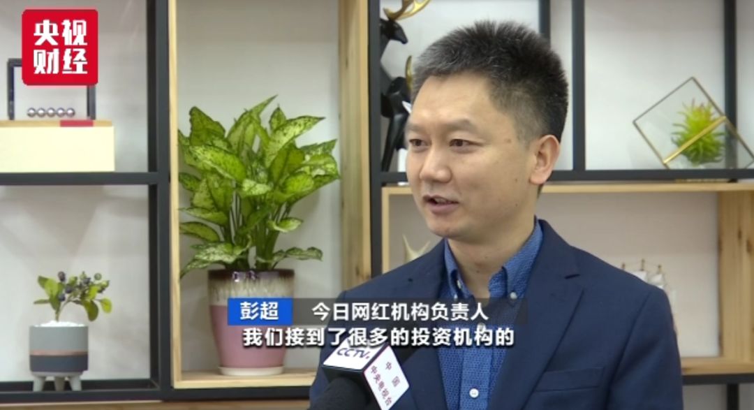 苟晶和李子柒都夸大了事实但苟氏被骂,李氏却被捧!