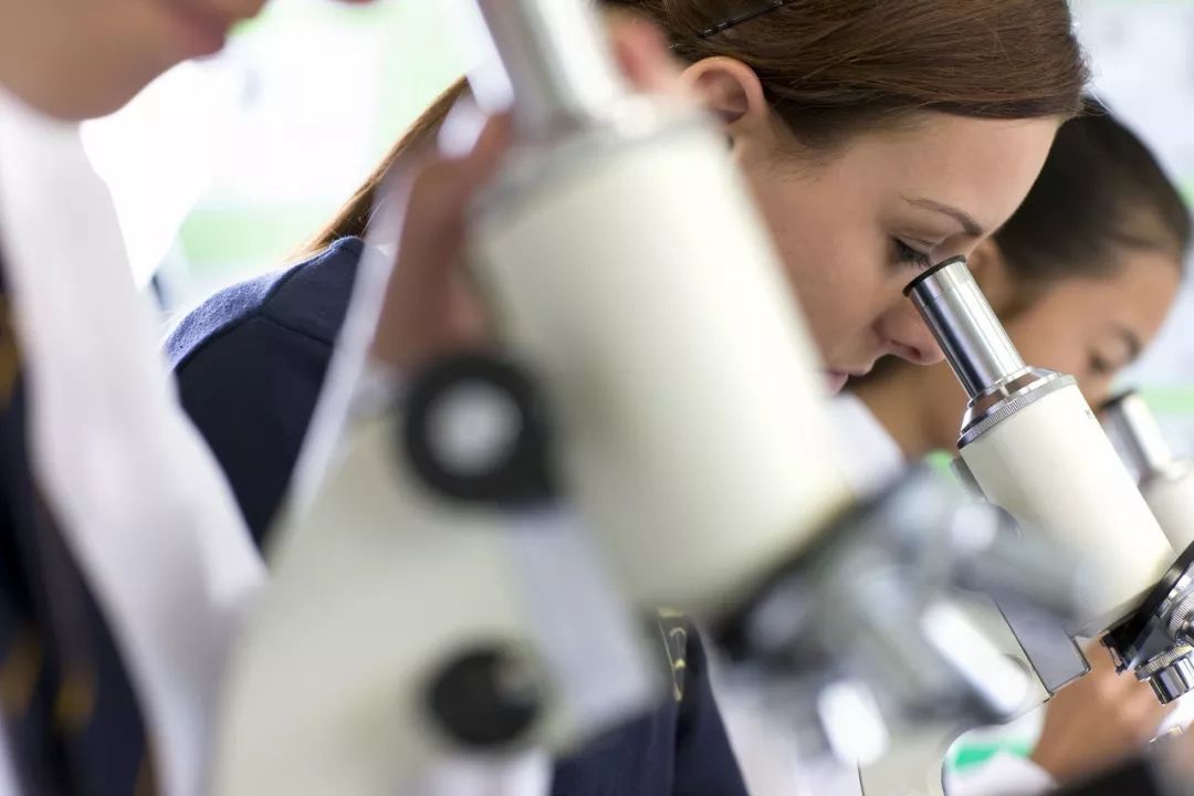 怎样通过科研论文拍马屁？这里教你四种方式