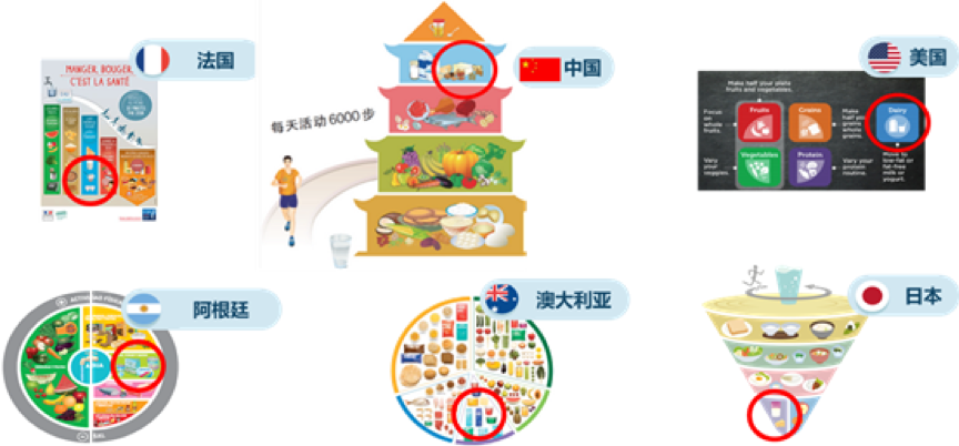 理性分析益生菌增强管免疫力功效,专家表示需科学补充