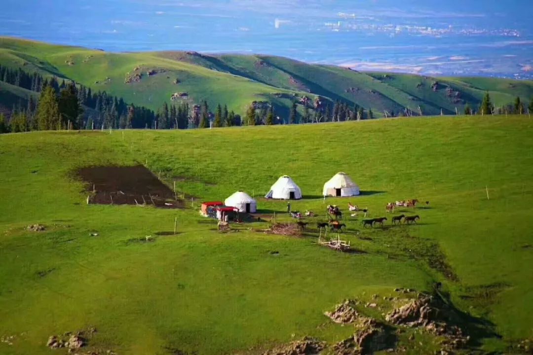 越过雪山,源自哈萨克族的美味_凤凰网旅游_凤凰网