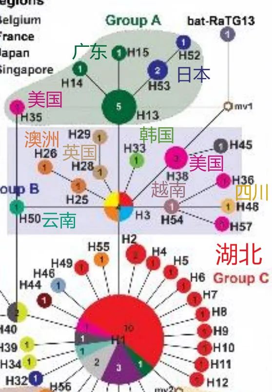 唐驳虎：美国和中国的病毒，谁是爷爷辈？看图！