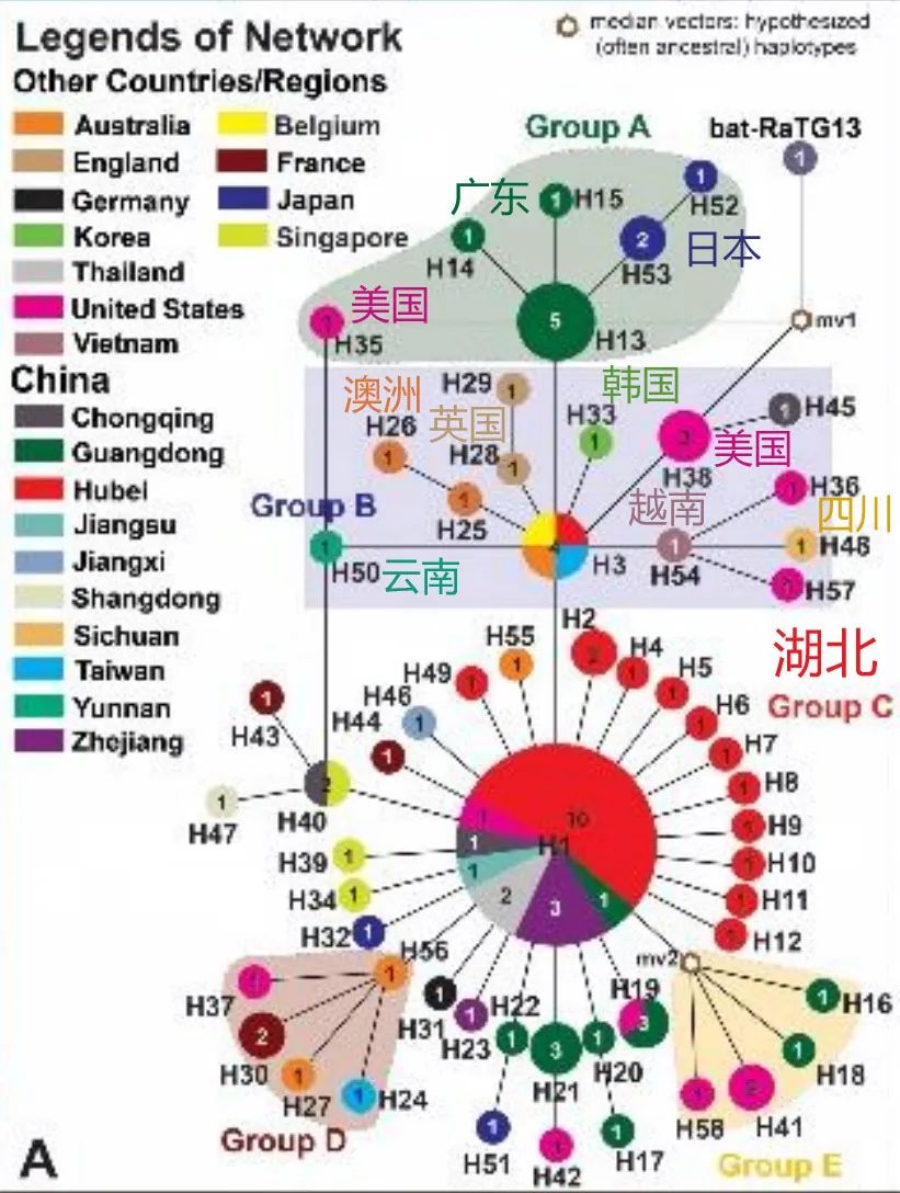 唐驳虎：美国和中国的病毒，谁是爷爷辈？看图！