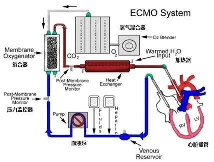 唐驳虎：五张疫情图，世界已站在危险边缘