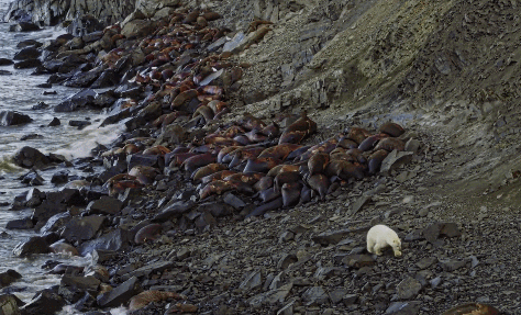 朴信惠哭了 背后的故事更让人心碎...