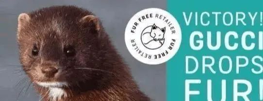 朴信惠哭了 背后的故事更让人心碎...