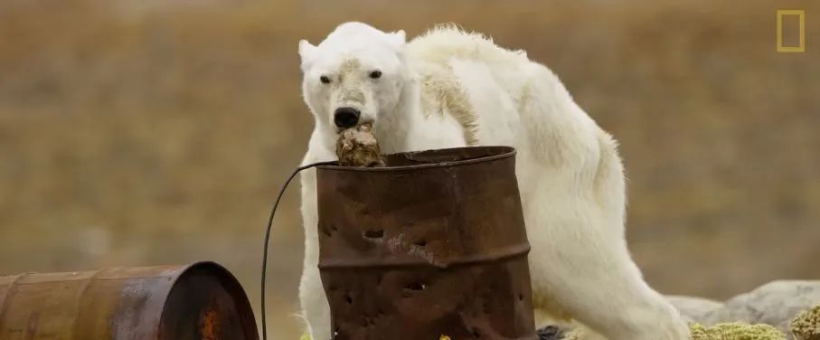 朴信惠哭了 背后的故事更让人心碎...