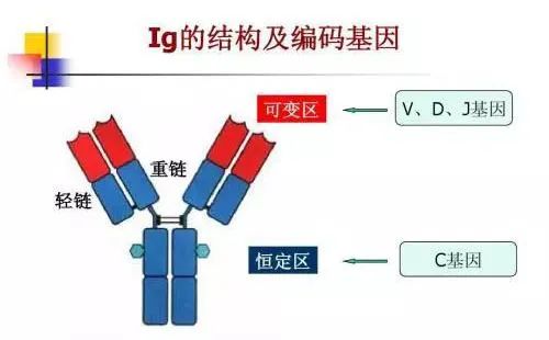 唐驳虎：放松管制危险吗？这项检测可护航