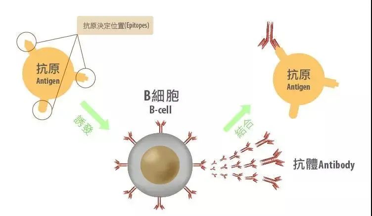 唐驳虎：放松管制危险吗？这项检测可护航