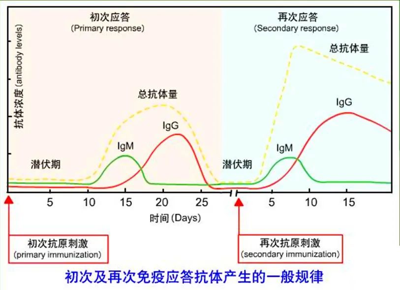 唐驳虎：放松管制危险吗？这项检测可护航