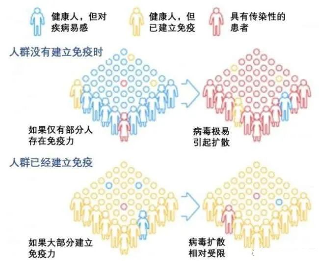 欧美实现了“群体免疫”？我们怎么办？