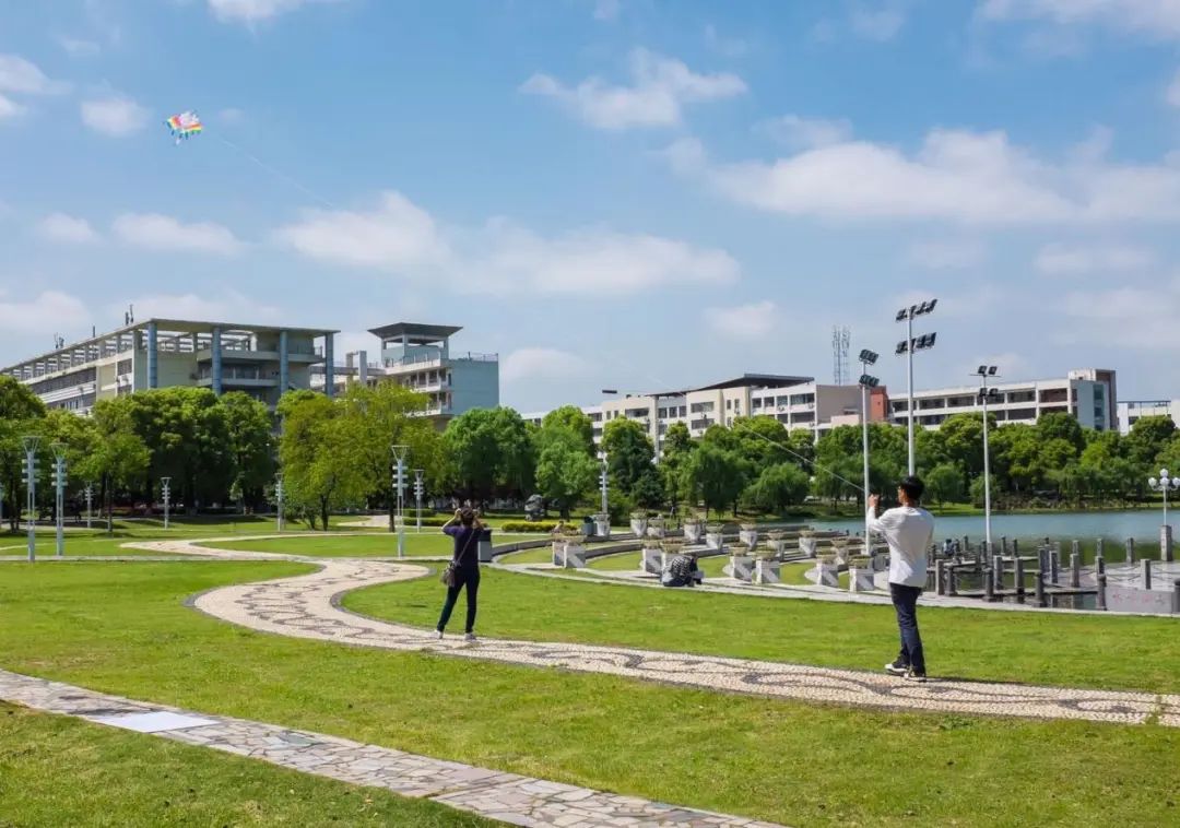 那些梦想破灭的年轻人，最后都回老家了