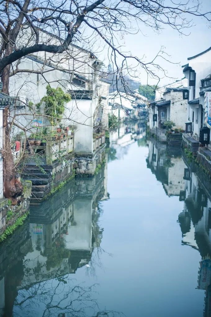 小桥流水,碧波荡漾,庭园精致,移步换景,简直是梦中的家园.