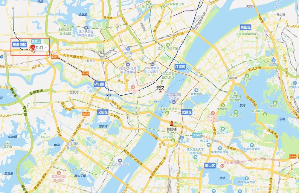 武汉全民核酸检测进入尾声 查出189例无症状感染者