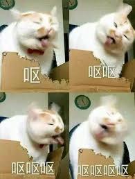 弗洛伊德被奉为美国圣人 被他抢劫的孕妇作何感想