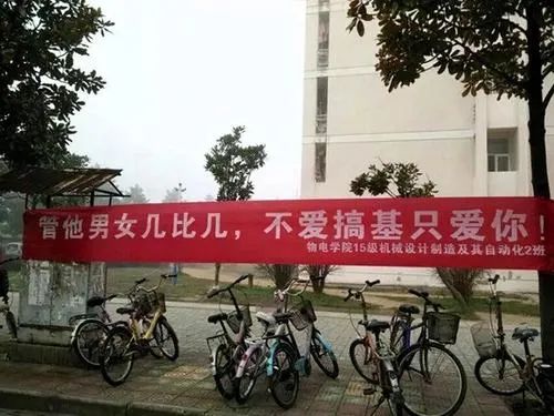 杨丽萍不生孩子是“失败”？生育不是义务而是权利