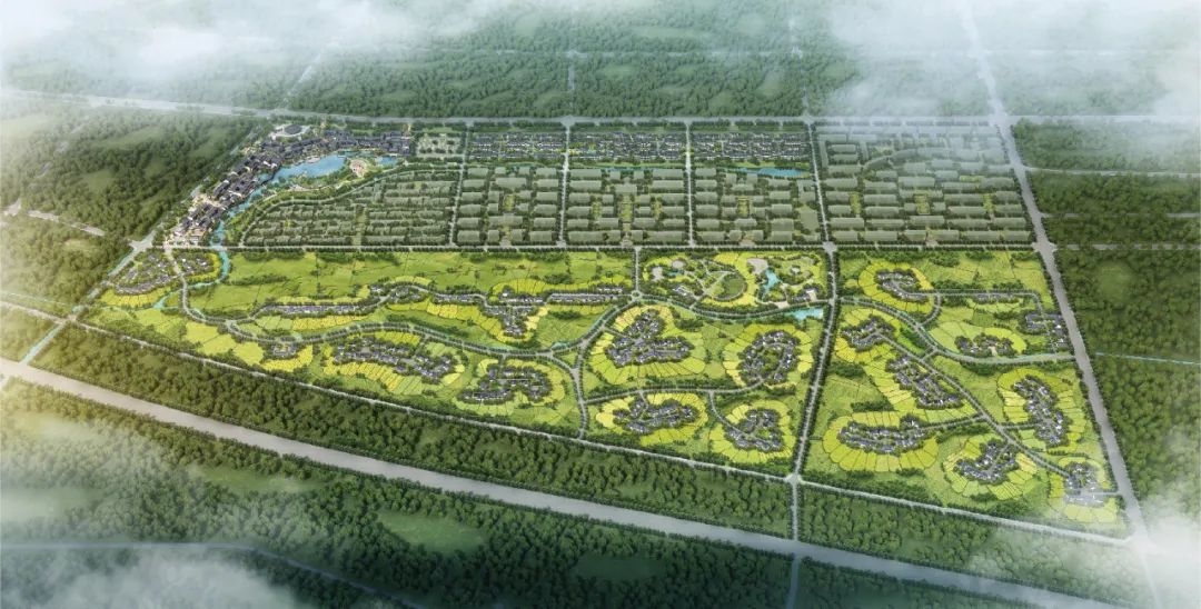 一笺金贴启新霄|绿城川菜小镇奠基仪式圆满成功!
