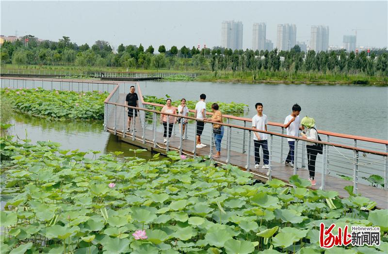 邯郸:荒沙滩变身生态园