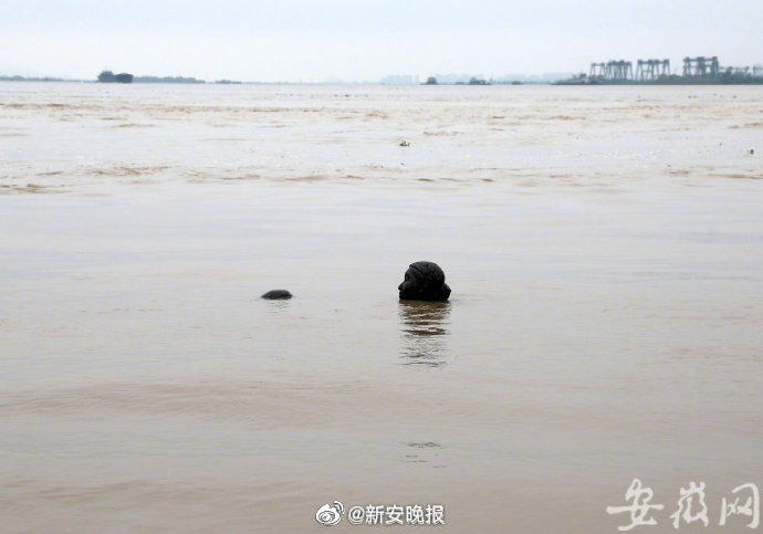 强降雨造成安徽399.2万人受灾 直接损失152.7亿元