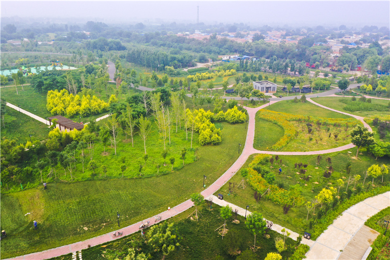 这是7月22日拍摄的河北省衡水市桃城区绿意盎然的宝云公园(无人机照片