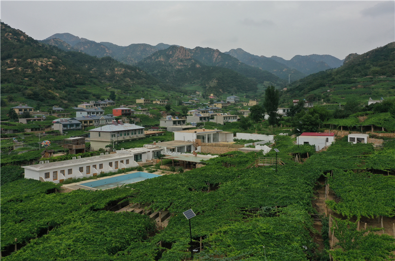 新闻资讯  近年来,河北省昌黎县在建设生态宜居美丽乡村的过程中,推进